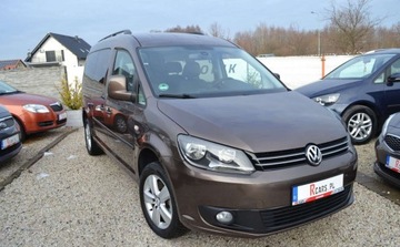 Volkswagen Caddy III Kombi Facelifting 1.6 TDI 102KM 2011 Volkswagen Caddy DSG - Long 7 miejsc - Bezwypdakowy - serwis - Oplacony, zdjęcie 11