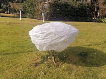 Мини домашняя теплица