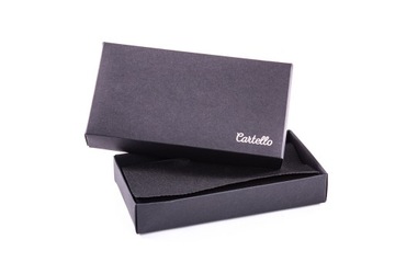 Вместительный кожаный пенал на молнии CARTELLO G-270-5.