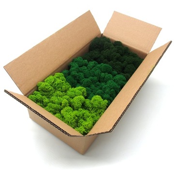 Mech chrobotek dekoracyjny 3 KOLORY