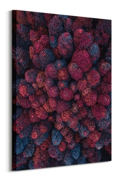 Barwy Jesieni Las Drzewa obraz na płótnie 60x80 cm
