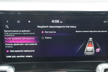Kia Sorento IV SUV PHEV Facelifting  1.6 T-GDI PHEV 265KM 2023 Kia Sorento MAX OPCJA skóra FUL LED nawi KAMERY, zdjęcie 39