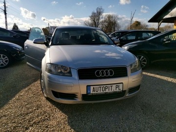 Audi A3 8L Hatchback 1.6 i 102KM 2003 Audi A3 Audi A3 II (8P) 1.6 102KM Mpi, BDB sta..., zdjęcie 11