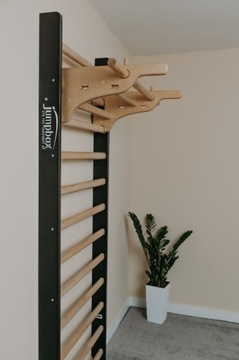 Лестница гимнастическая реабилитационная 250х80 штанга КОМБО