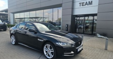 Jaguar XE Sedan 2.0 i4 180KM 2017 Jaguar XE 2.0 Diesel 180KM, zdjęcie 6