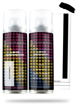 LAKIER SAMOCHODOWY CITROEN EXY EXYB w SPRAYU SPRAY + BEZBARWNY 200ml