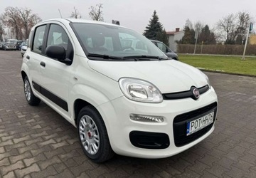 Fiat Panda III Hatchback 5d seria 3 1.2 69KM 2019 Fiat Panda Fiat Panda 1.2 StartampStop Pop 1.2 Benzyna 69KM, zdjęcie 3