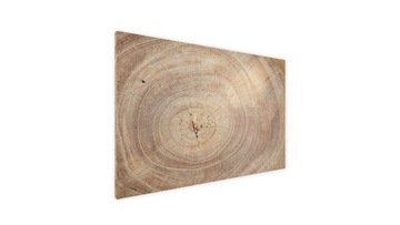 Магнитная доска WOOD для туристических магнитов.