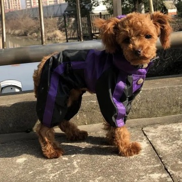 Водонепроницаемый плащ для собак Оксфорд Одежда для собак Куртка Комбинезон для щенка Чихуахуа