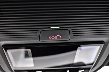 Cupra Formentor Crossover 2.0 TSI 245KM 2023 Cupra Formentor Bezwypadkowy / Salon Polska /, zdjęcie 32