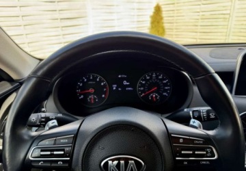 Kia Stinger Liftback 2.0 T-GDi 245KM 2019 Kia Stinger Kia Stinger 2.0 T-GDI OPF GT Line 2.0 Benzyna 245KM, zdjęcie 13