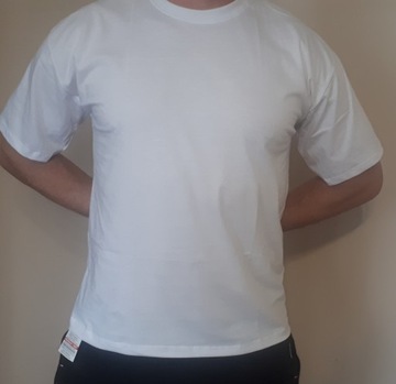 Podkoszulek męski T-SHIRT biały (176-XL)