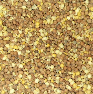 PELUSZKA BRĄZOWA 1KG ZANĘTA WĘDKARSKA KARMA DLA GOŁĘBI KUR PTAKÓW PASZA