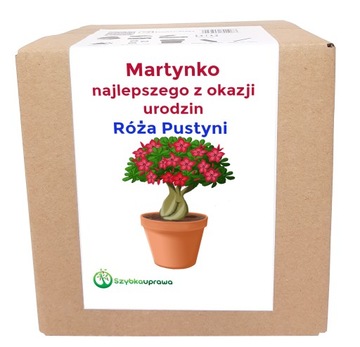 Ekologiczny prezent zestaw róża urodziny MARTYNKA