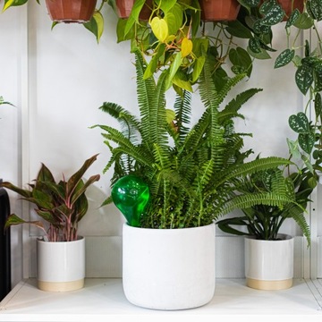 Шарики для полива растений, зеленые, 400 мл, 1 шт.