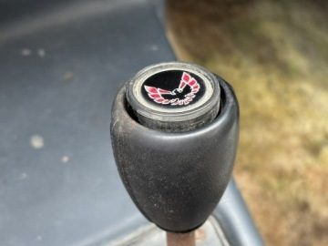 Pontiac Firebird II 1981 Pontiac Firebird / Trans Am 1981 – 3.8 V6, zdjęcie 17