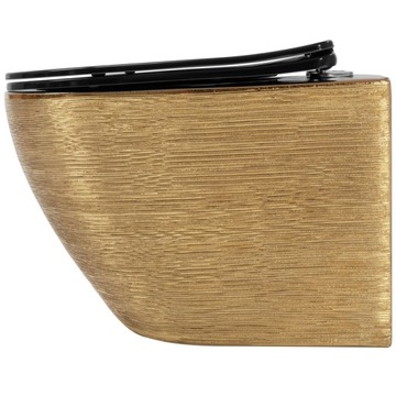Унитаз CARLO Gold Brushed Black Seat Brash Gold Rea