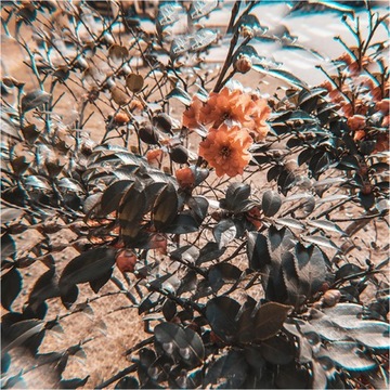 Стеклянная призма фотографического калейдоскопа с призмой