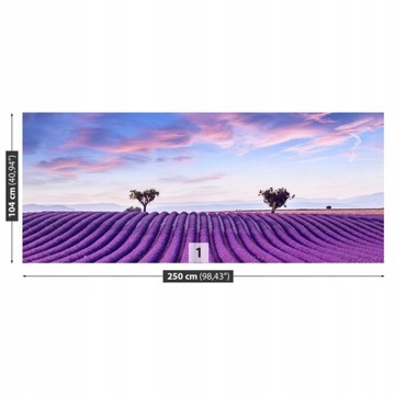 Fototapeta Flizelinowa Pole lawendy 250x104