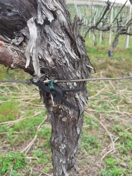 АНКЕРФИКС 16 СМ - 1 КГ - 230 ШТ.