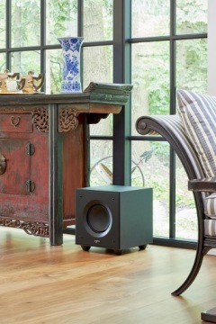 Сабвуфер Paradigm DEFIANCE V10 120 Вт