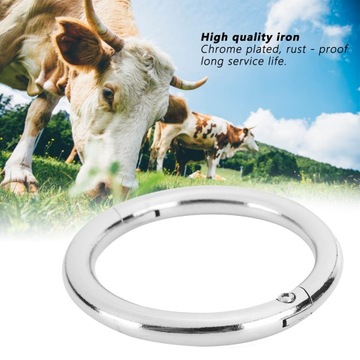 Металлическое кольцо из бычьего носа, хромированное.