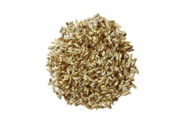 Chaber bławatek - nasiona - 500 gram