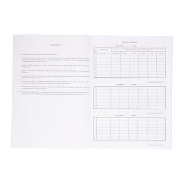 DZIENNIK ZAJĘĆ DODATKOWYCH POZALEKCYJNYCH I/6 A4 dla GRUP, KURSÓW, KÓŁKO
