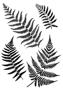 SZABLON MALARSKI Fern / Paproć 59x95cm WIELOKROTNY