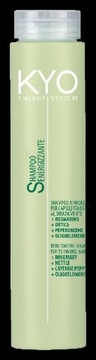KYO Energy Szampon przeciw wypadaniu włosów 250 ml