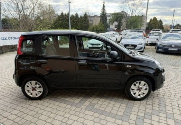 Fiat Panda III Hatchback 5d seria 3 1.2 69KM 2019 Fiat Panda 1,2 69KM Klimatyzacja 1.2 Benzyna 69KM, zdjęcie 4