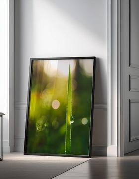 Установленные картины для гостиной в рамках.