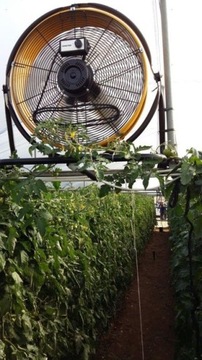 MASTER DF 20 P ВЕНТИЛЯТОР