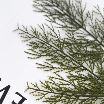 GAŁĄZKA ASPARAGUS DO STROIKA REALISTYCZNA CHOINKA SZTUCZNA DEKORACJA 3 SZT