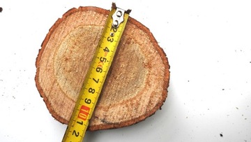 ШТАМП НА ДРЕВЕСИНУ SLICE STAMP ДУБ 10-14 СМ, 1 ШТ.