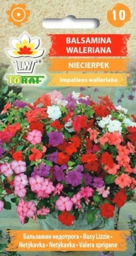 BALSAMINA WALERIANA NIECIERPEK MIX nasiona