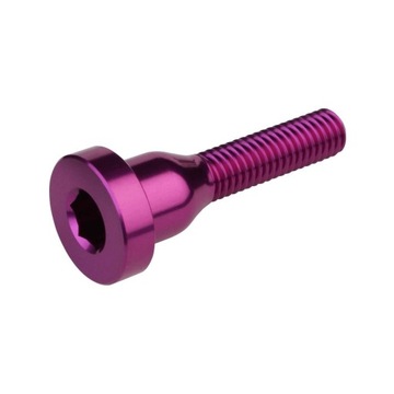 Śruba do kapsla sterów BURGTEC Top Cap Bolt - Purple Rain