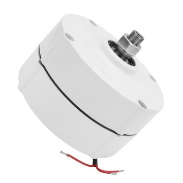 ALTERNATOR Z MAGNESAMI TRWŁYMI 300W 12V