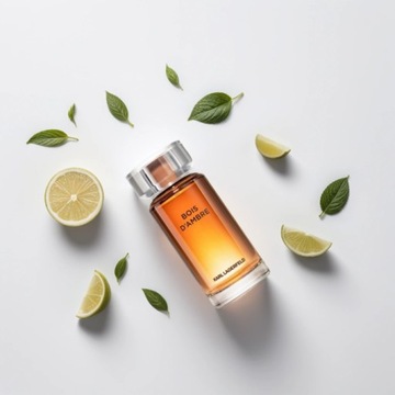 KARL LAGERFELD BOIS D'AMBRE 100ML Туалетная вода МУЖСКИЕ ДУХИ