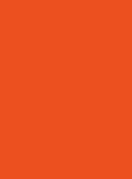 BRYSTOL KOLOROWY HAPPY COLOR 170G A3 1 ARKUSZ