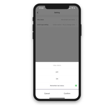 Двойное реле WiFi TUYA с измерением тока 10 А