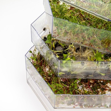 Многоярусная коробка для проращивания, красивый набор трав