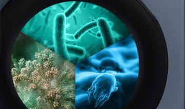 Стиральная машина Samsung WD80TA046BE 8/5 кг 1400 об/мин