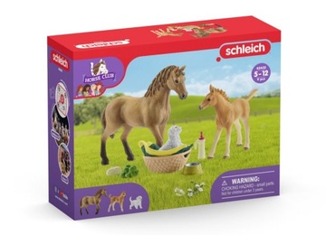 SCHLEICH Zestaw Figurki Pielęgnacja zwierząt + AKC