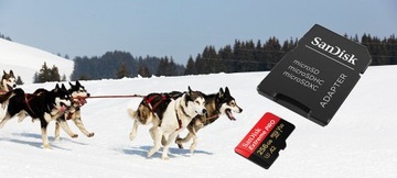 Карта памяти SanDisk Extreme PRO microSDXC 256 ГБ 256 ГБ 200 МБ/с
