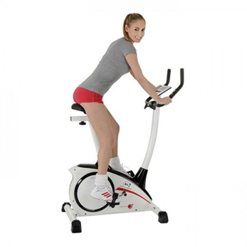 Rower Christopeit AL2 srebrny