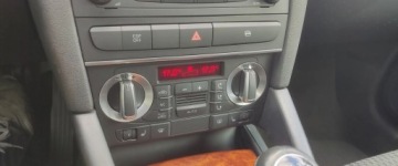 Audi A3 8P Hatchback 3d 1.9 TDI 105KM 2009 Audi A3 Sportback 1.9 TDI ,BEZWYPADEK,zadbany 1.9 Diesel 105KM, zdjęcie 15