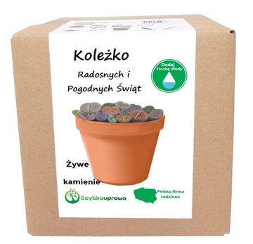 ŚWIĄTECZNY PREZENT DLA KOLEŻKI KPL ŻYWE KAMIENIE
