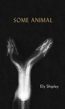 Some Animal by Ely Shipley