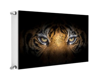 MAGNES NA KALORYFER GRZENIK 80x60 TYGRYS